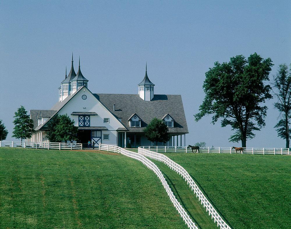 Picture showing the side of the barn