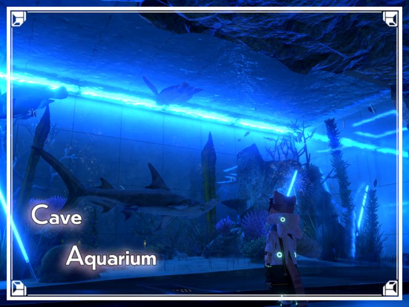 Cave Aquarium