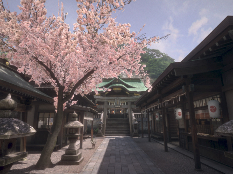 Japan Shrine[spring]